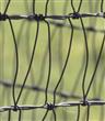 V-Mesh Fence